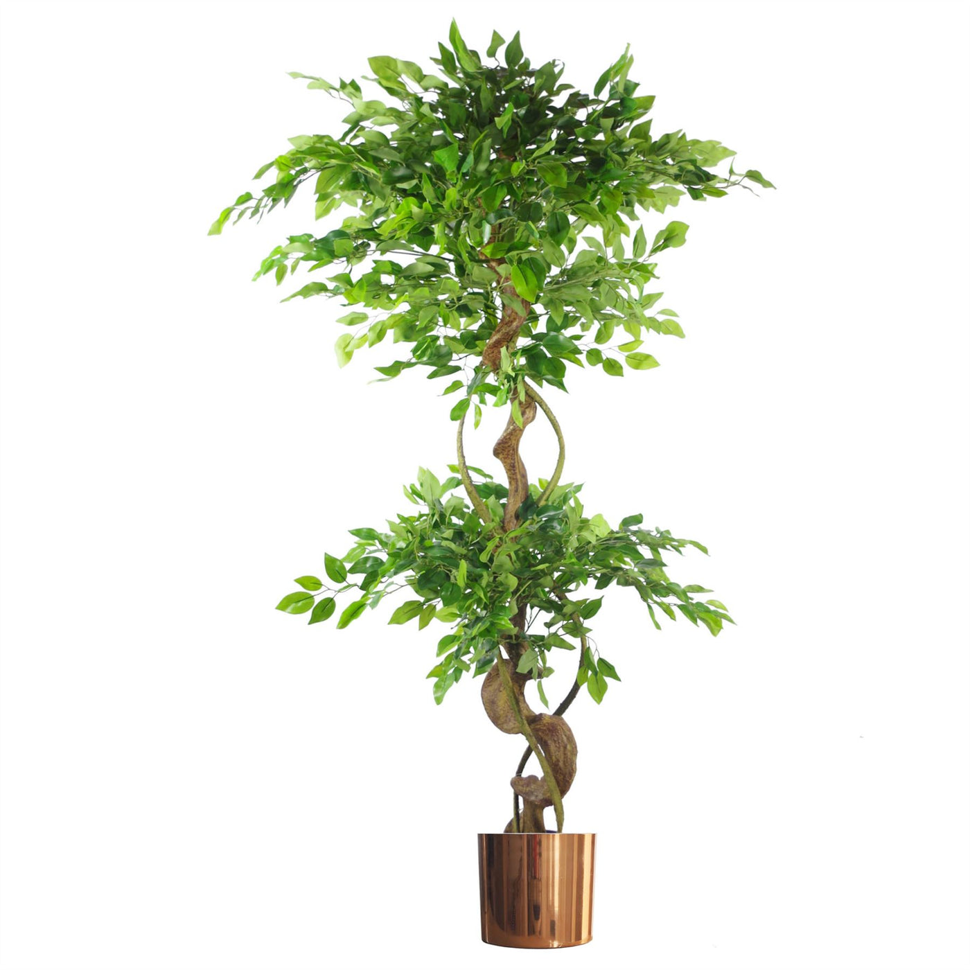 150cm Twisted Trunk Artificial Japanese Fruticosa Ficus Tree with Copper Planter