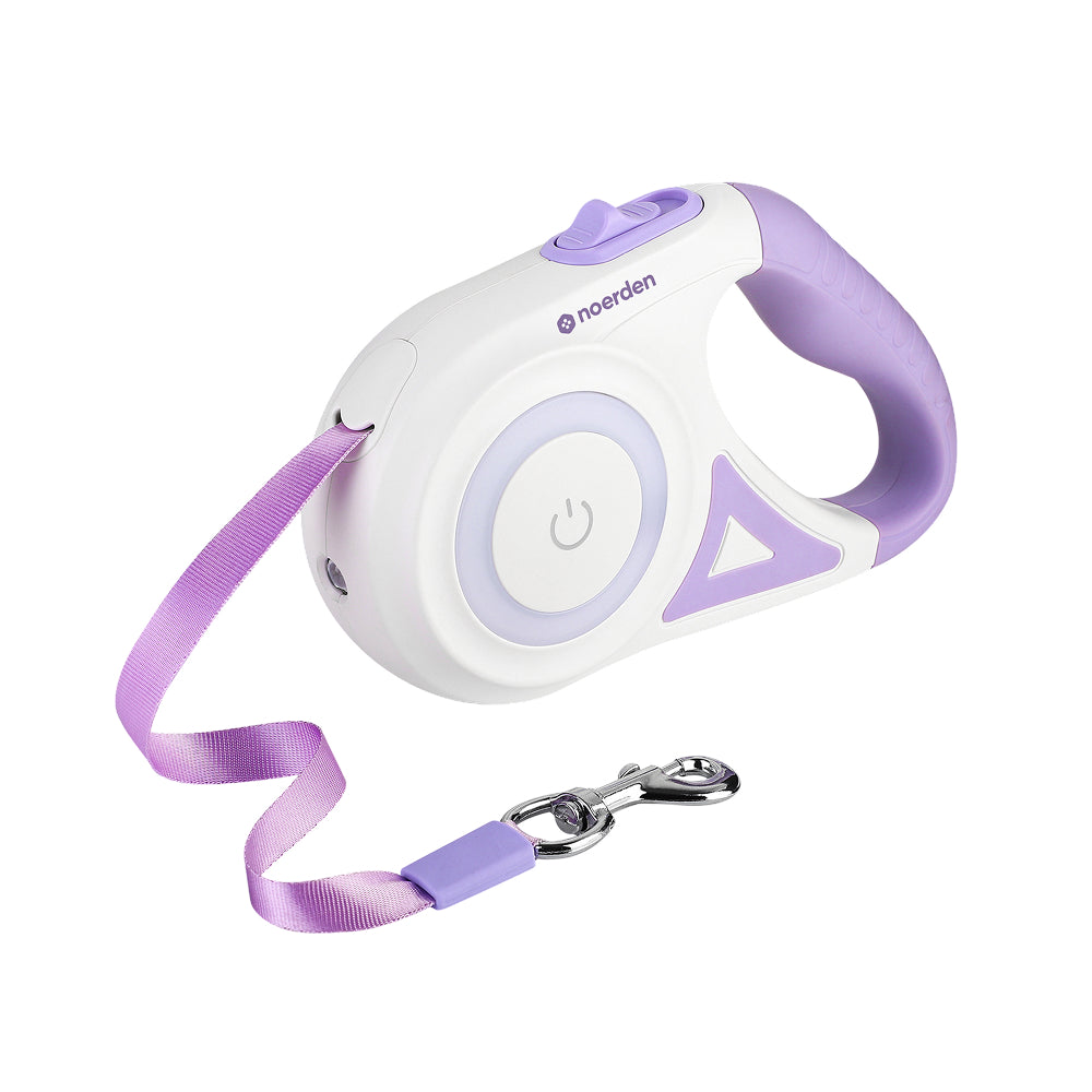Flexi Leash LED Retractable Leash