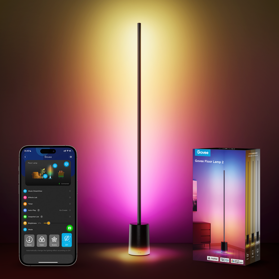 Govee Black Floor Lamp