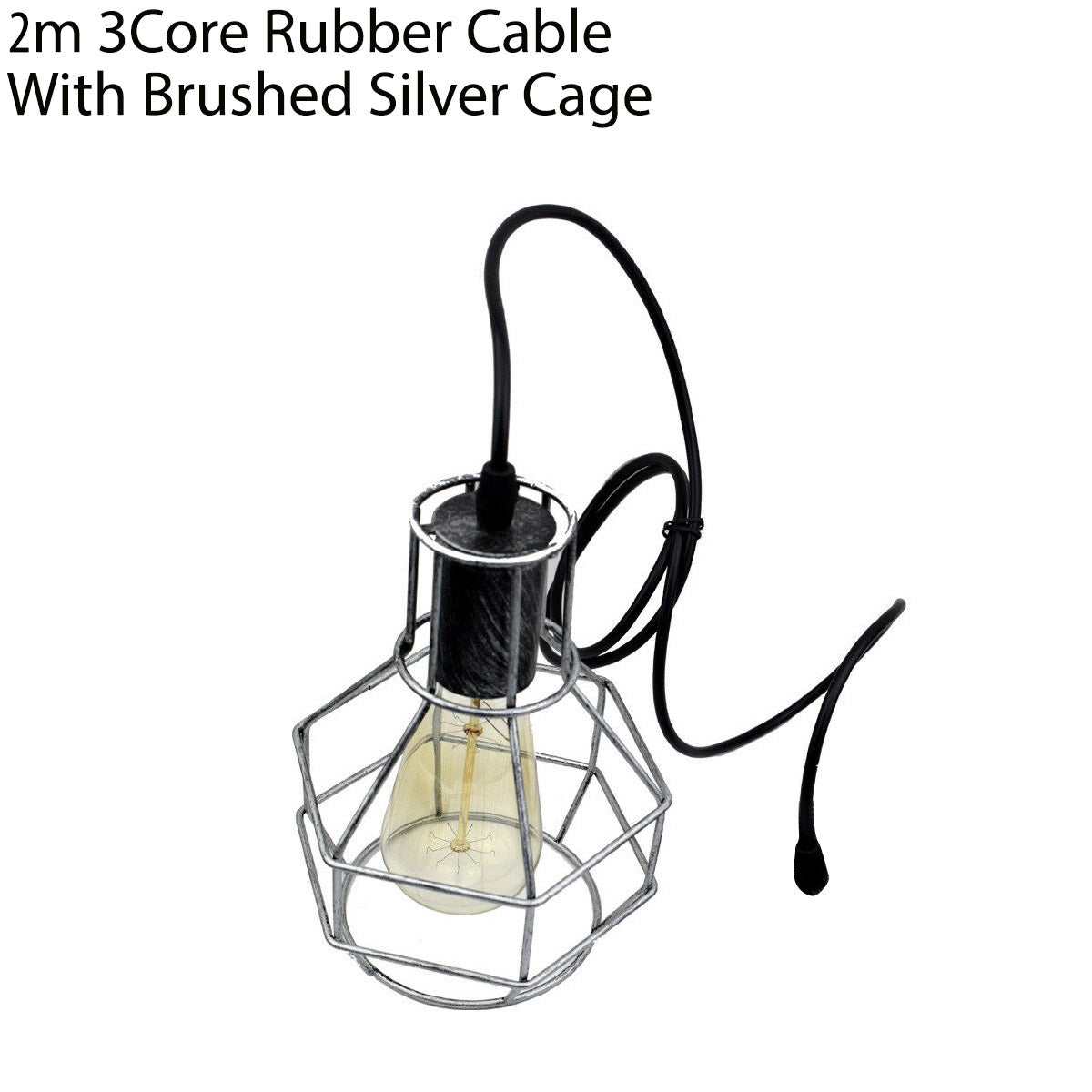 2m Pendant Lamp Holder with Nest Cage, Brushed Silver