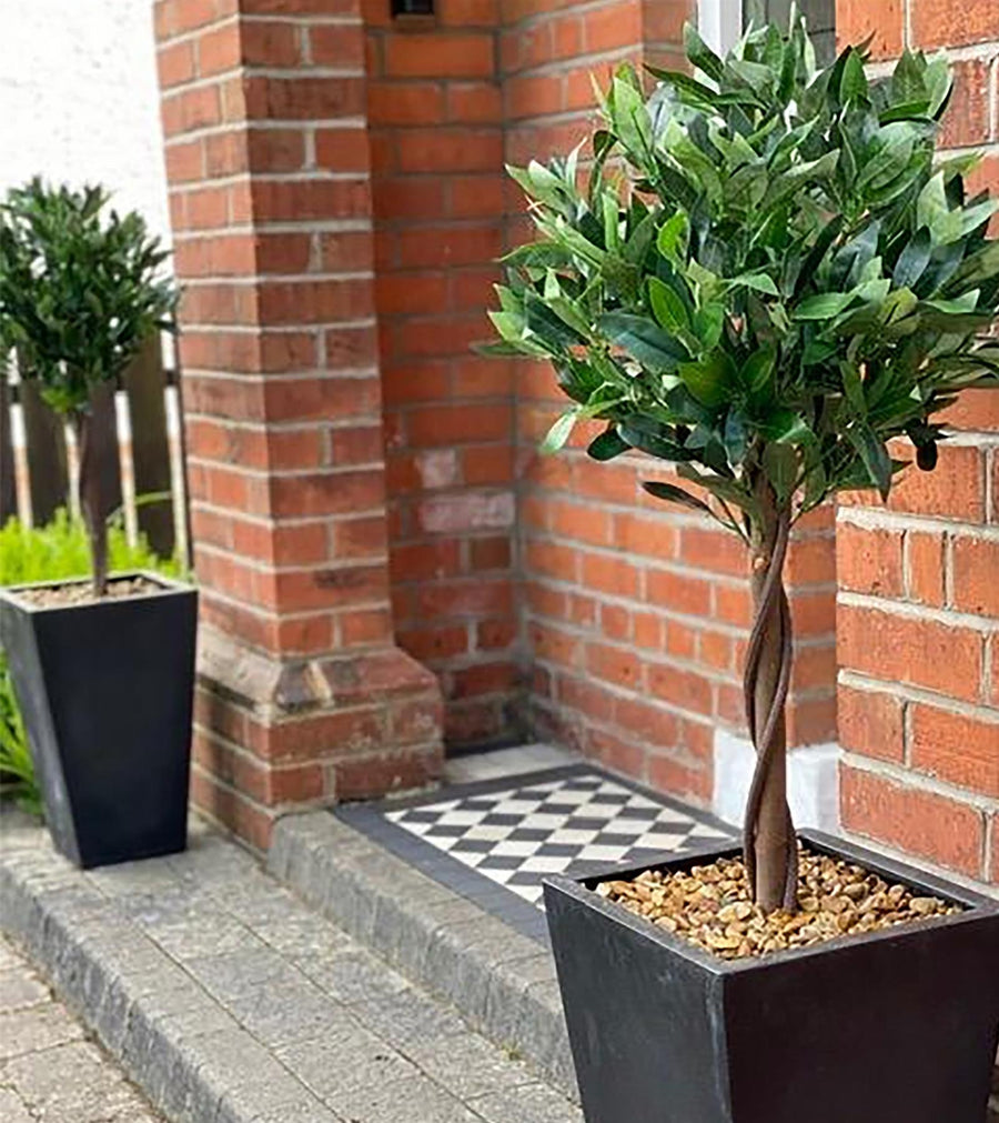 Pair of 120cm Twist Natural Artificial Topiary Bay Laurel Ball Trees