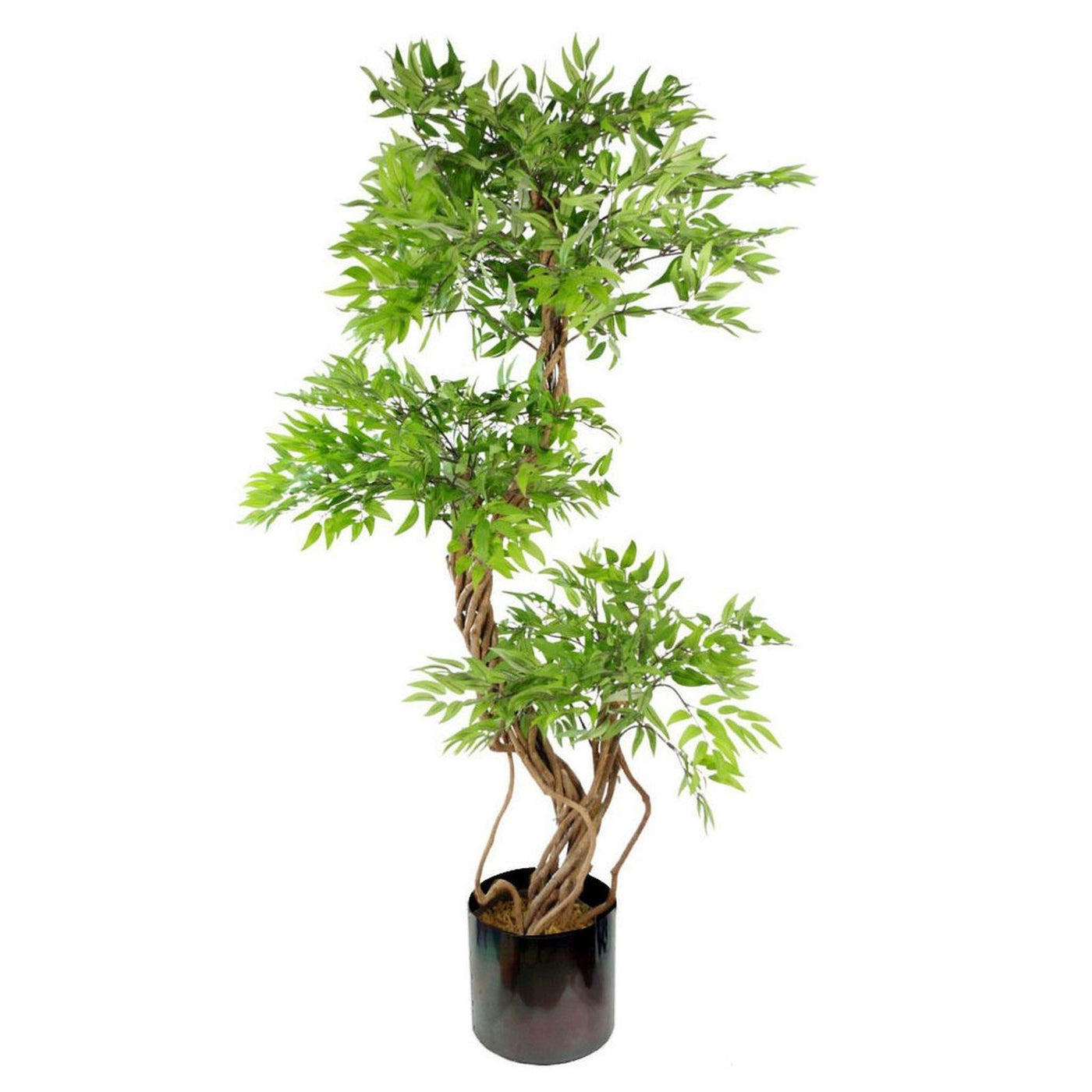 140cm Artificial Japanese Fruticosa Ficus Tree, Green Rainbow