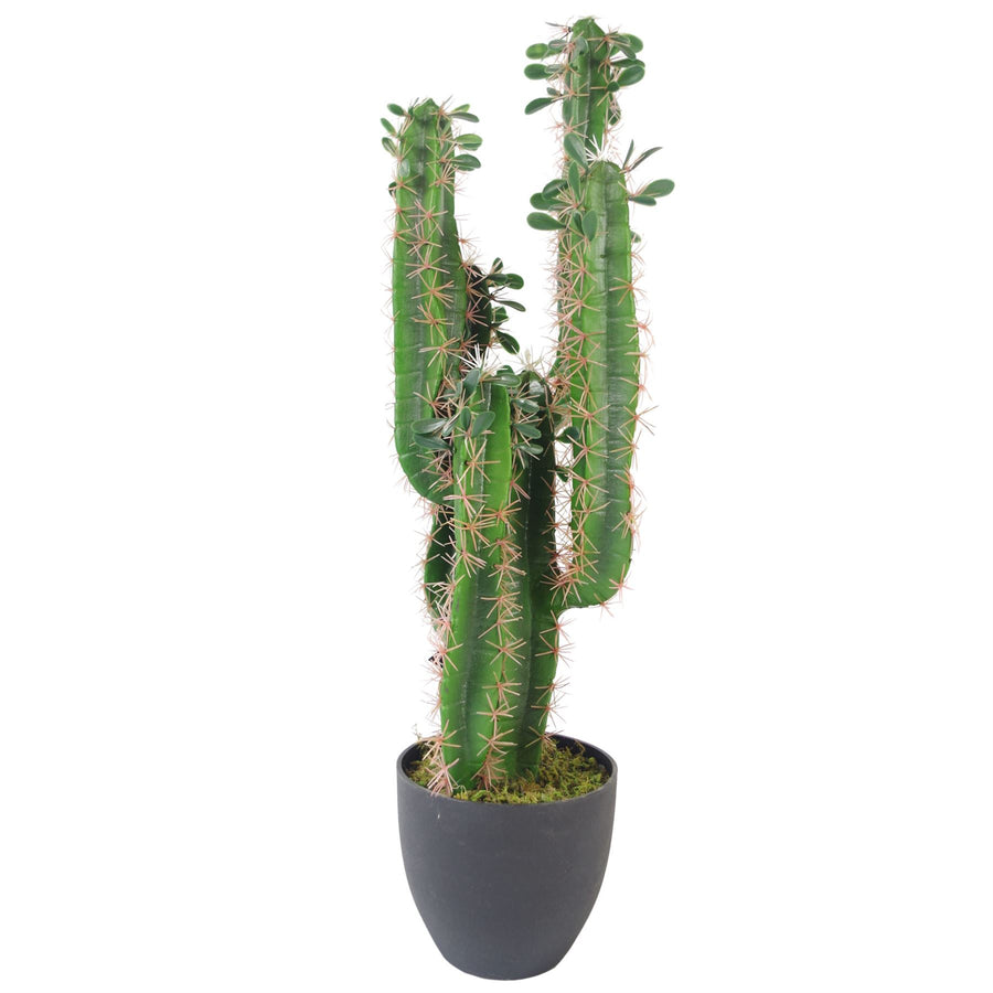 75cm Artificial Cactus with pot