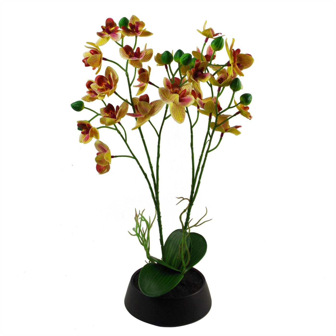 43cm Artificial Orchid in Ceramic Planter