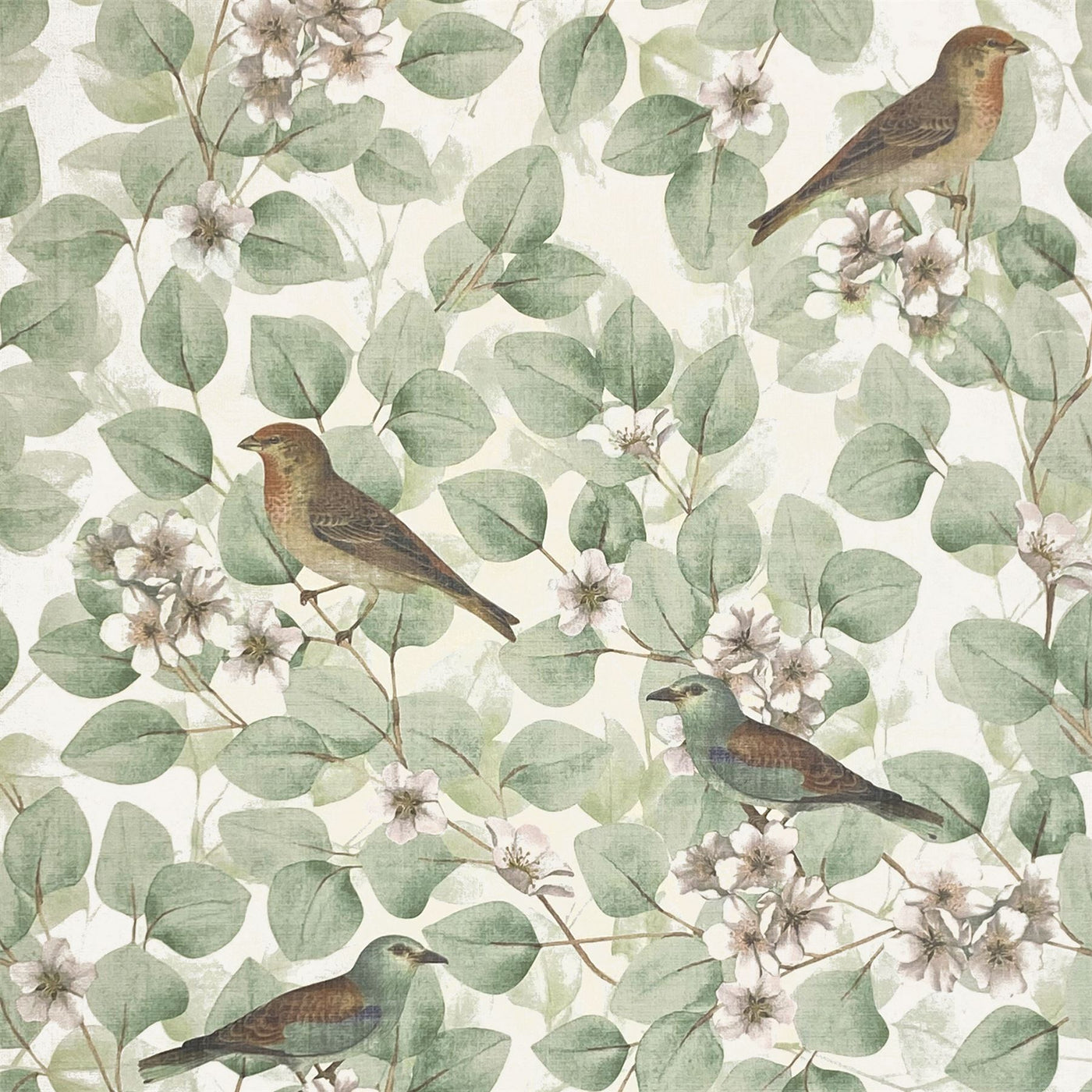 Arthouse Birds & Blossoms Green Wallpaper SW12