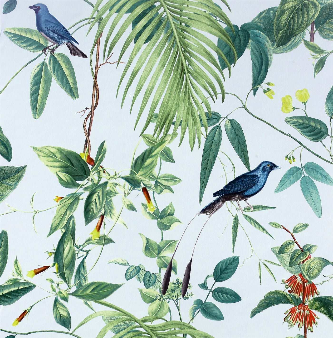 Exotic Garden Blue sw12 Wallpaper