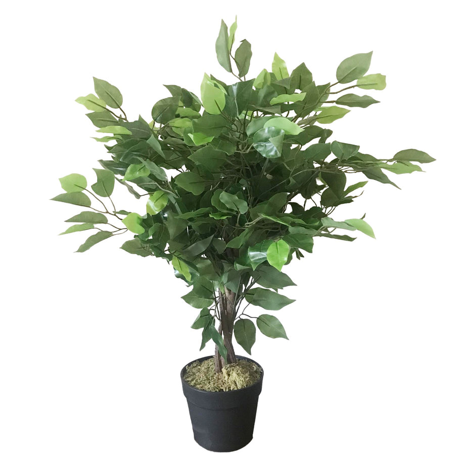60cm Artificial Ficus Tree / Plant