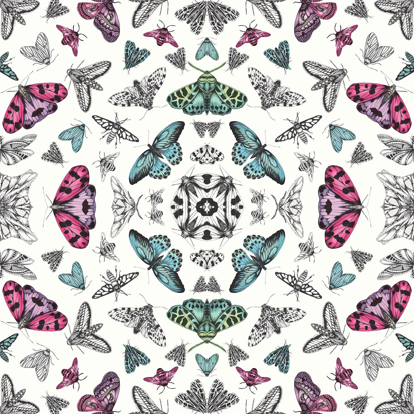 Glitter Bug White Multi sw12 Wallpaper