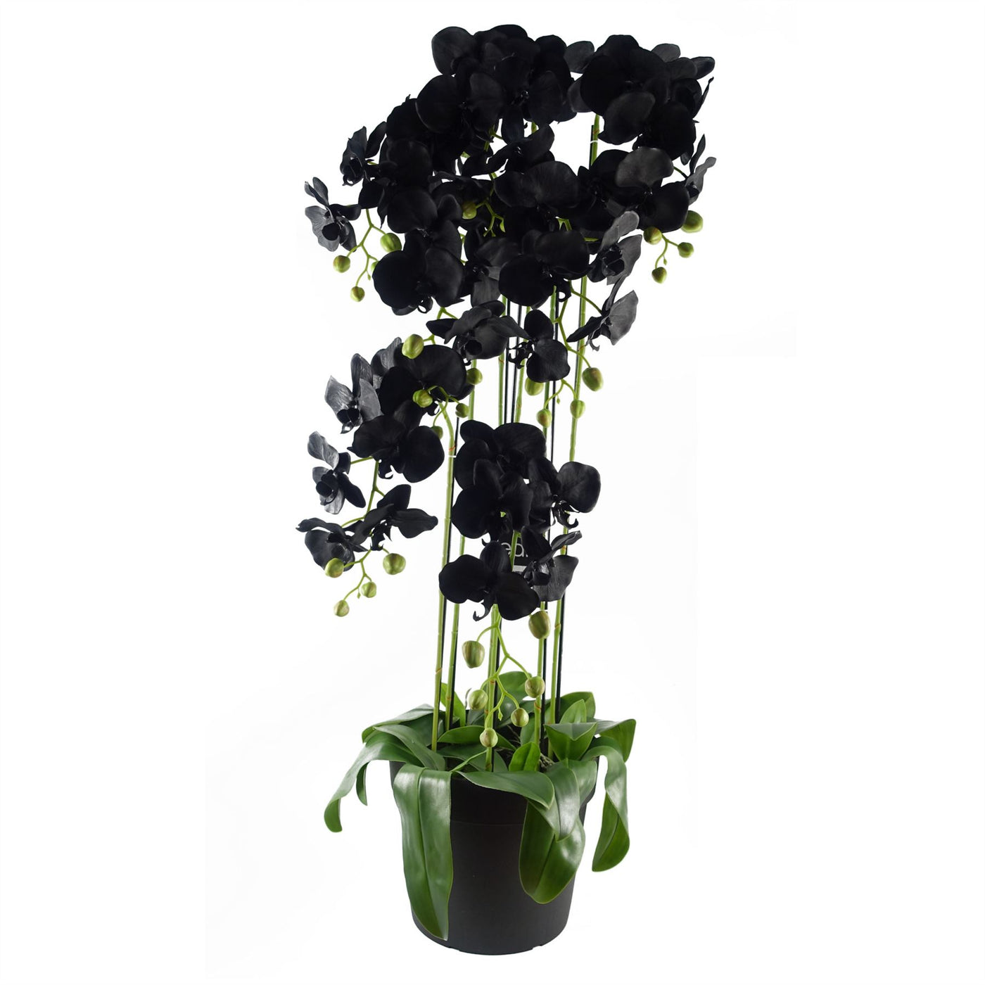 110cm Large Black Orchid Artificial Plant with 41 Real Touch Flowers