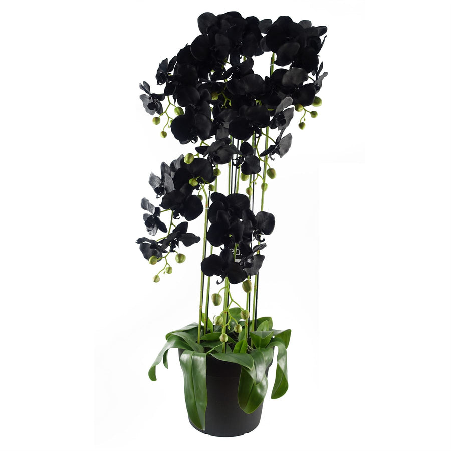 110cm Large Black Orchid Artificial Plant with 41 Real Touch Flowers