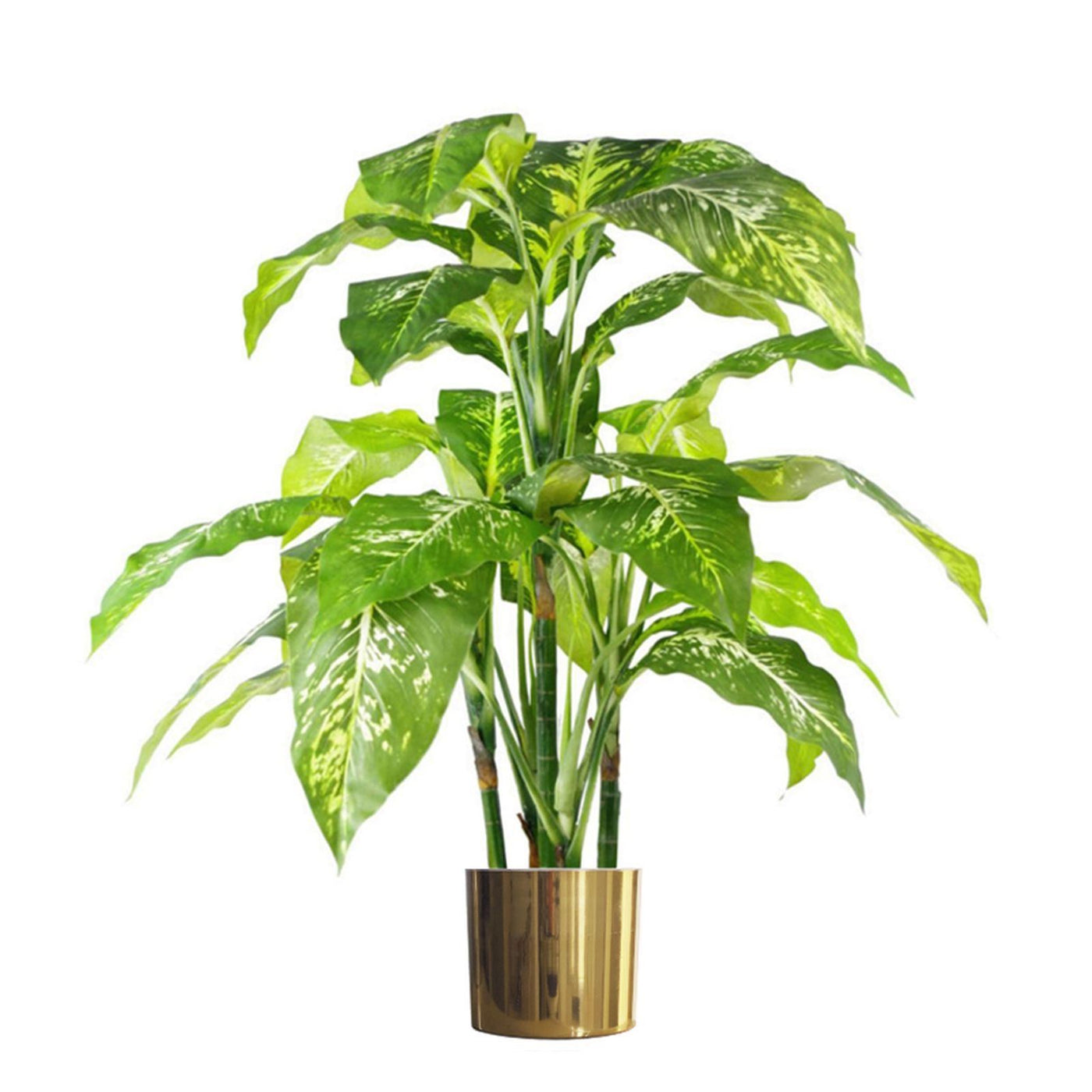 100cm Fox's Aglaonema (Spotted Evergreen) Artificial Plant with Gold Metal Planter