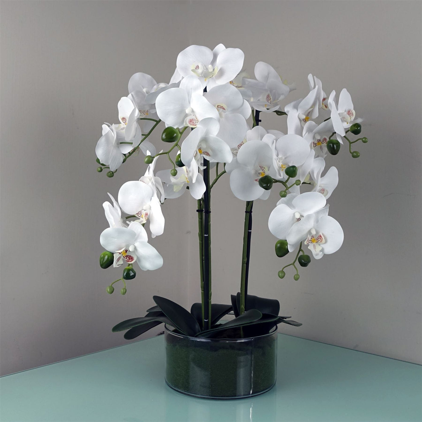 50cm Artificial Orchid with Glass Planter, White