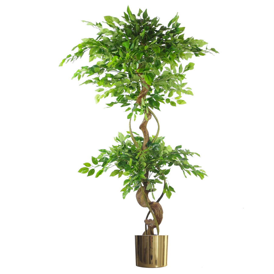 150cm Twisted Trunk Artificial Japanese Fruticosa Ficus Tree with Gold Metal Planter