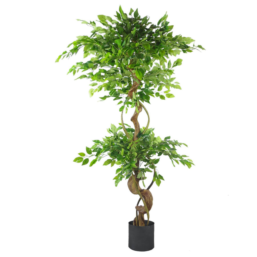 150cm Twisted Trunk Artificial Japanese Fruticosa Ficus Tree with Black Planter