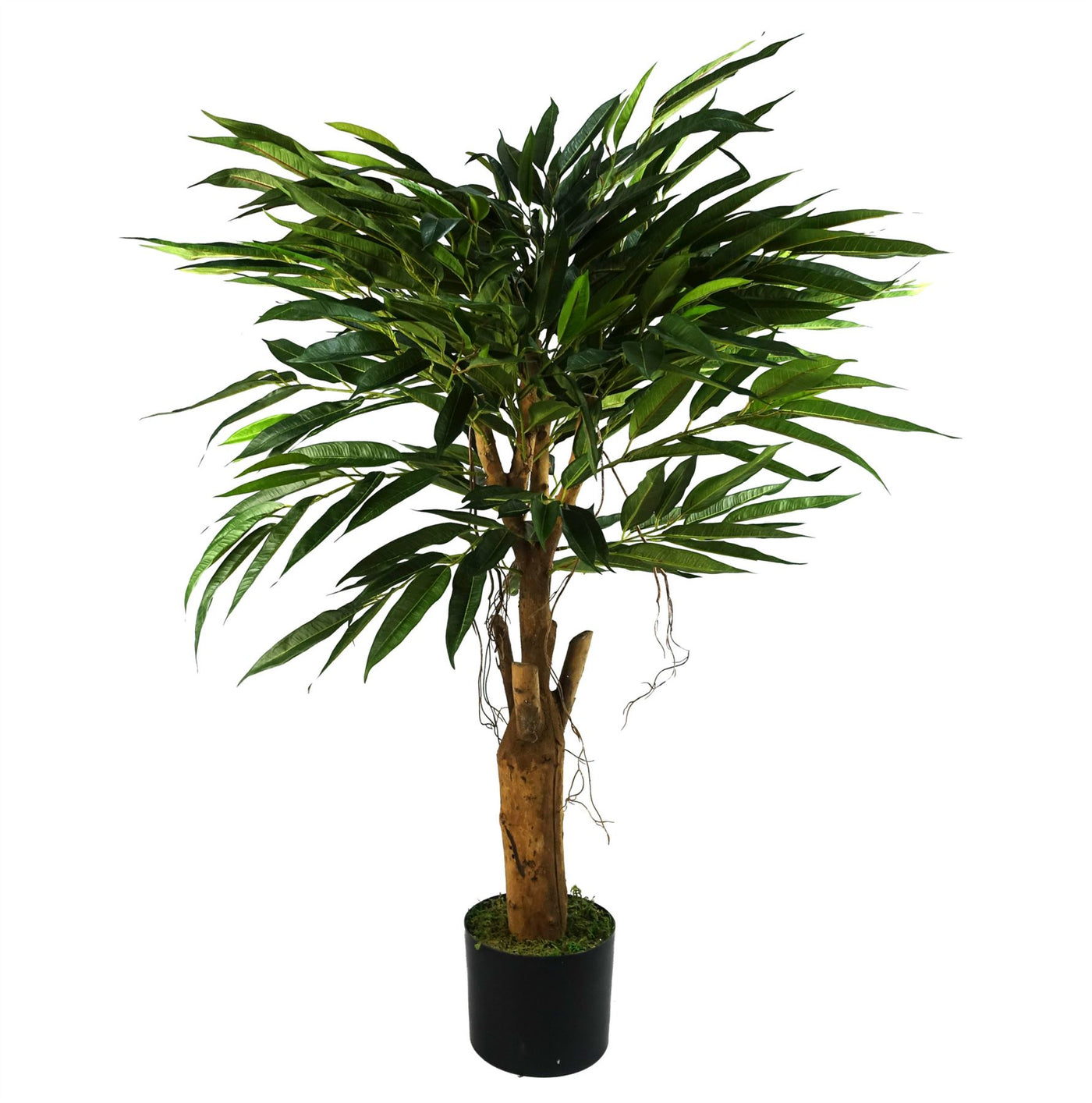 100cm Longifolia Ficus Artificial Tree with Natural Trunk