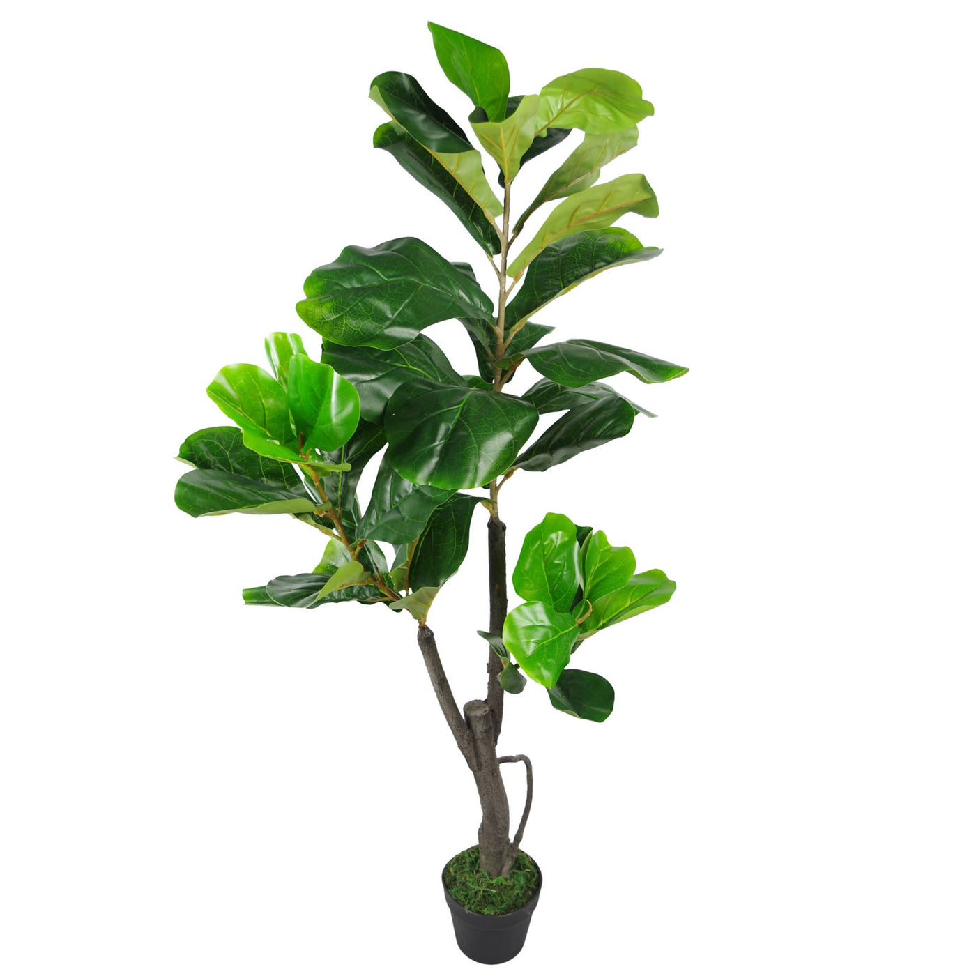 120cm (4ft) Large Artificial Fiddle Fig Tree (Ficus Lyrata)