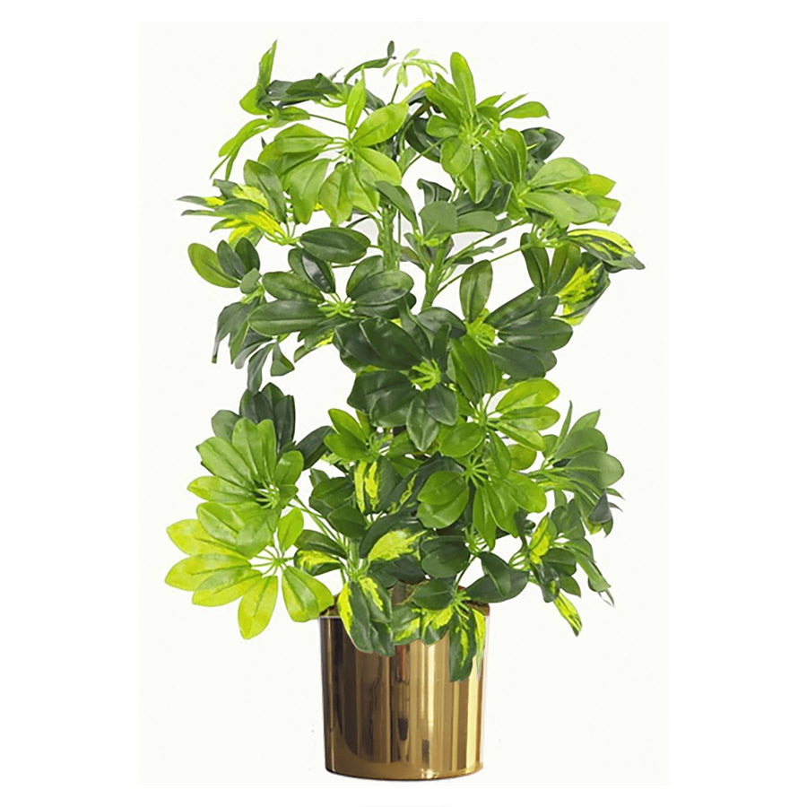 75cm Artificial Arboricola Gold Capella Plant with Metal Planter