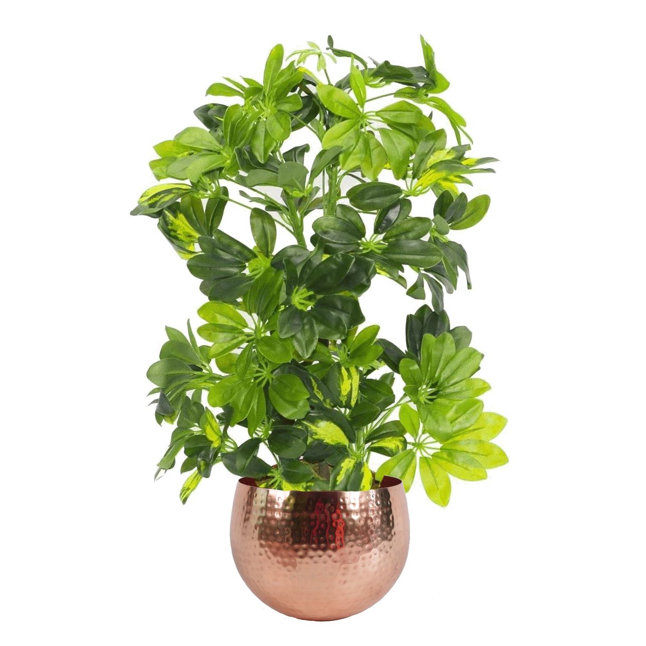 75cm Artificial Arboricola Gold Capella Plant with Copper Metal Planter
