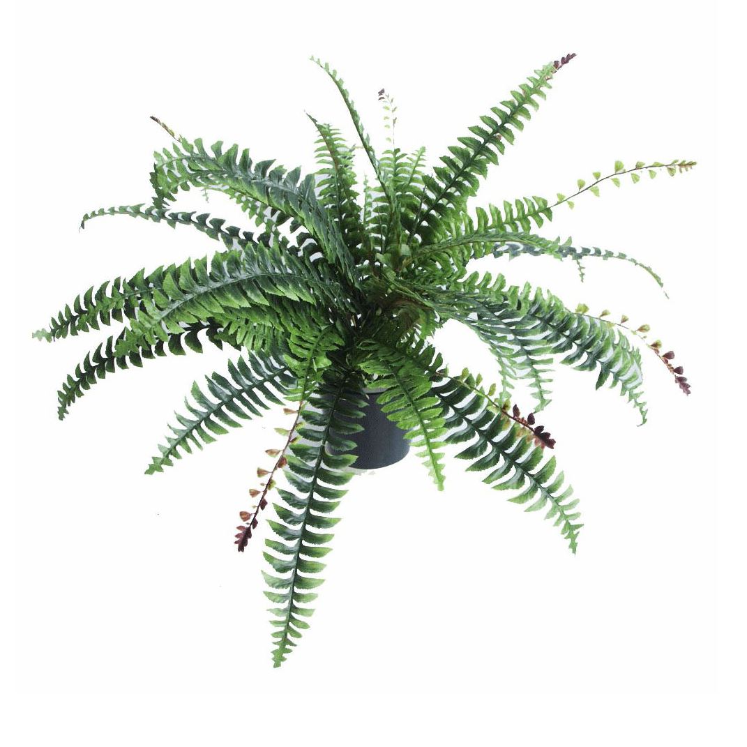 Artificial Boston Fern Plant 60cm