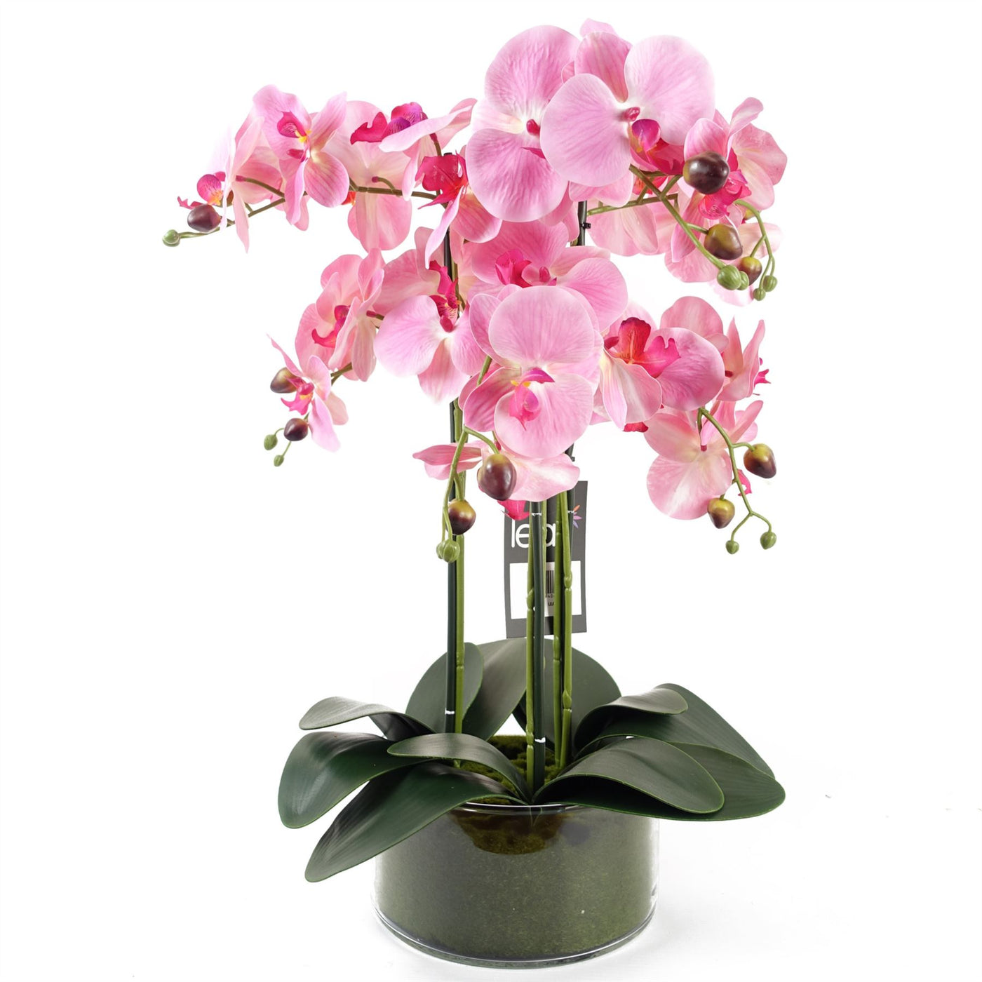 50cm Artificial Orchid with Glass Planter, Pink