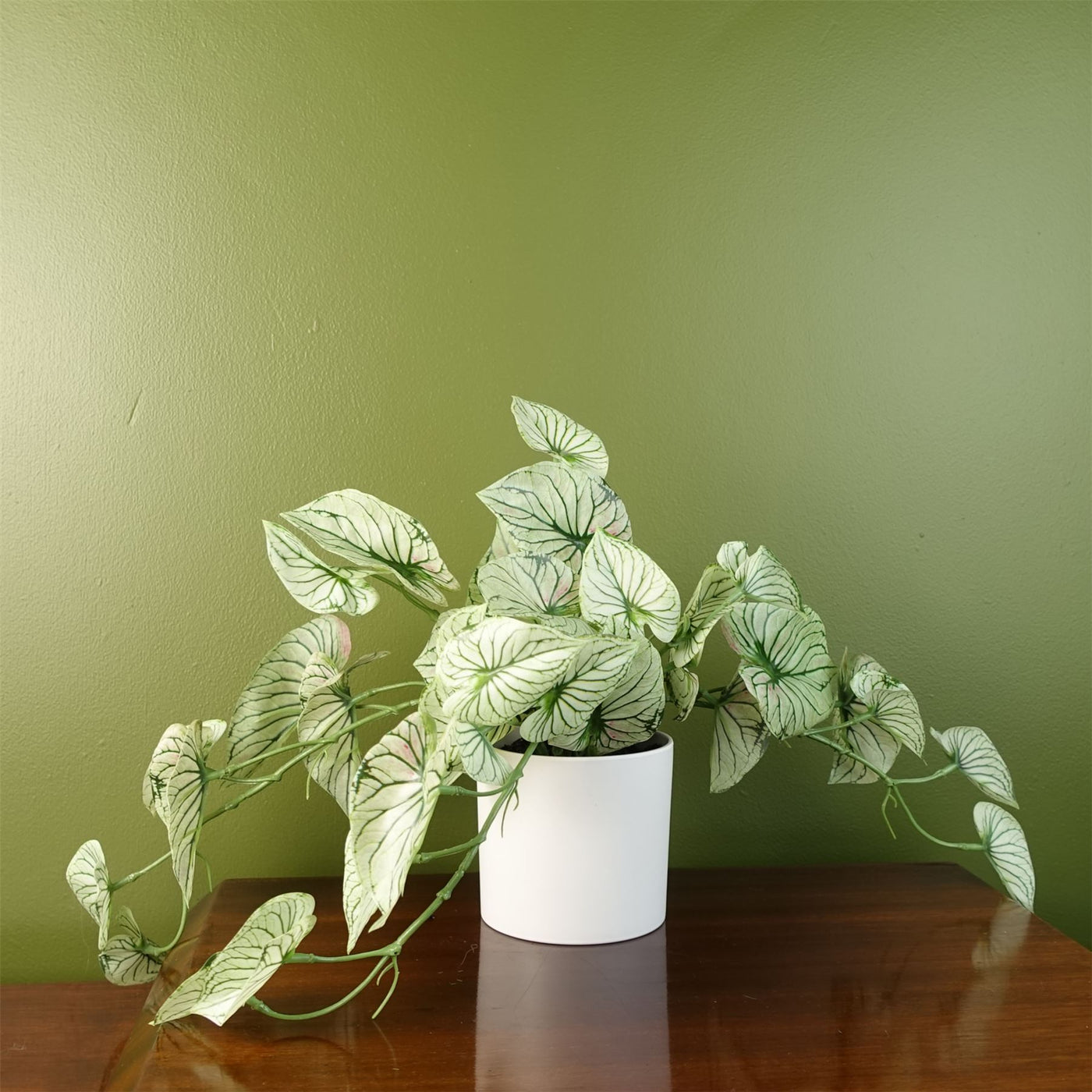 30cm Artificial Trailing Variegated Potted Alocasia