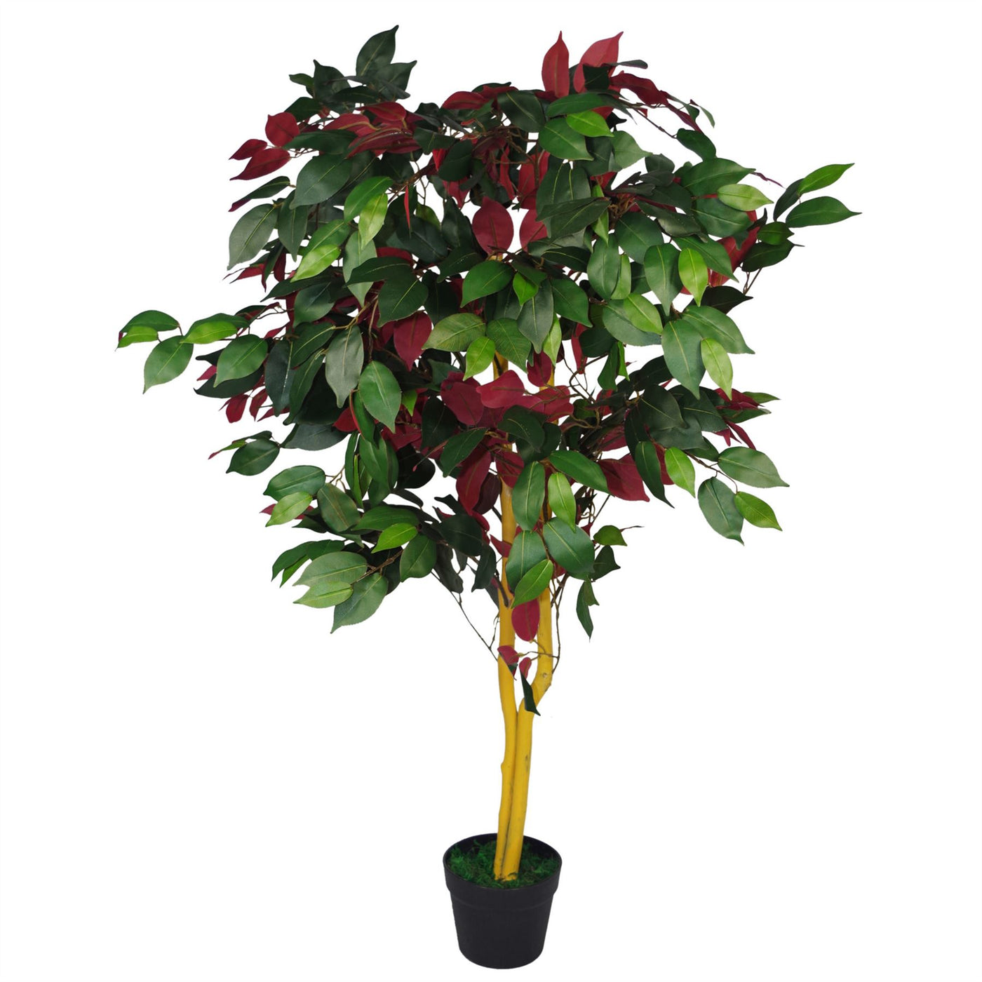 120cm (4ft) Artificial Capensia Tree Ficus Plant