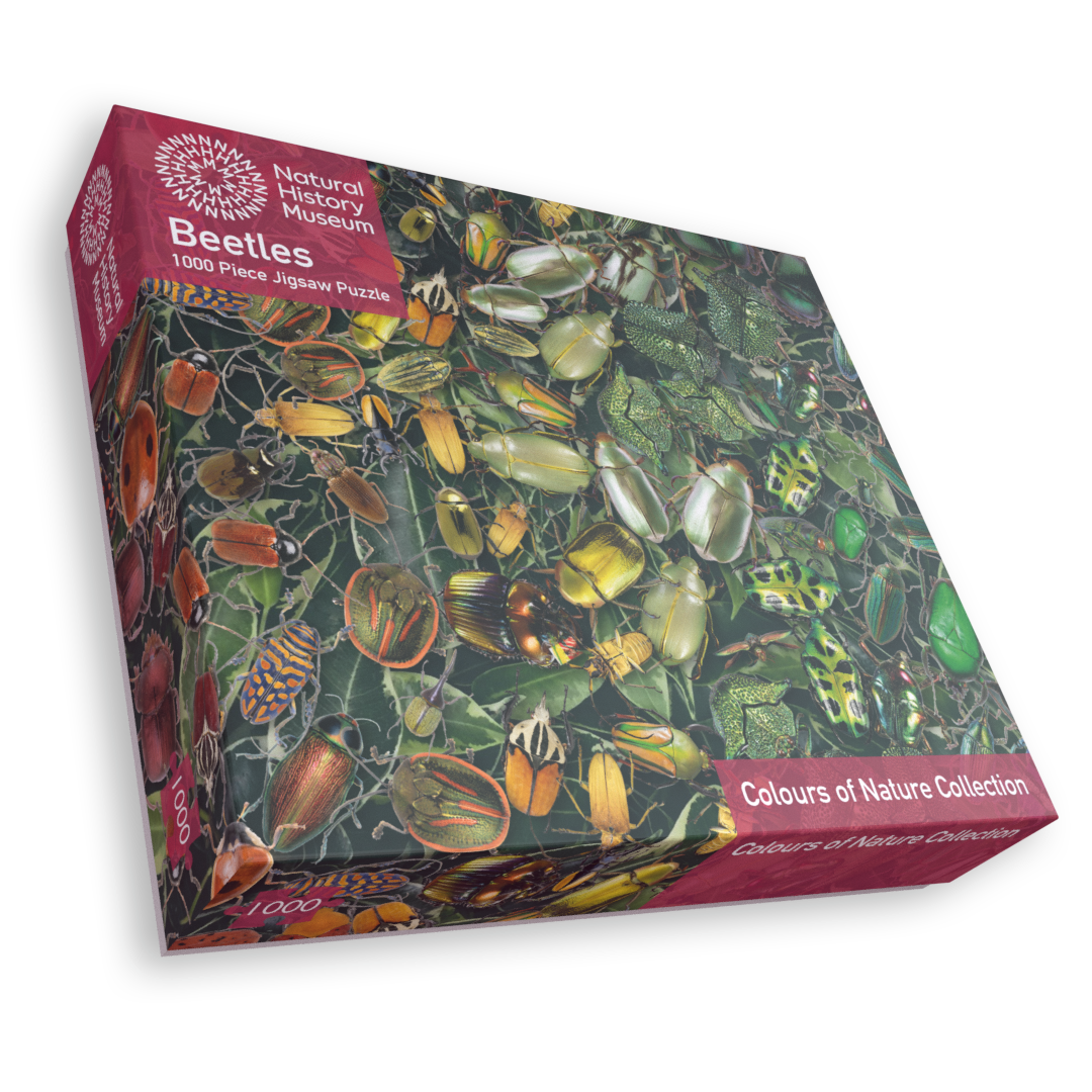 Natural History Museum Beetles 1000 Piece Jigsaw Puzzle