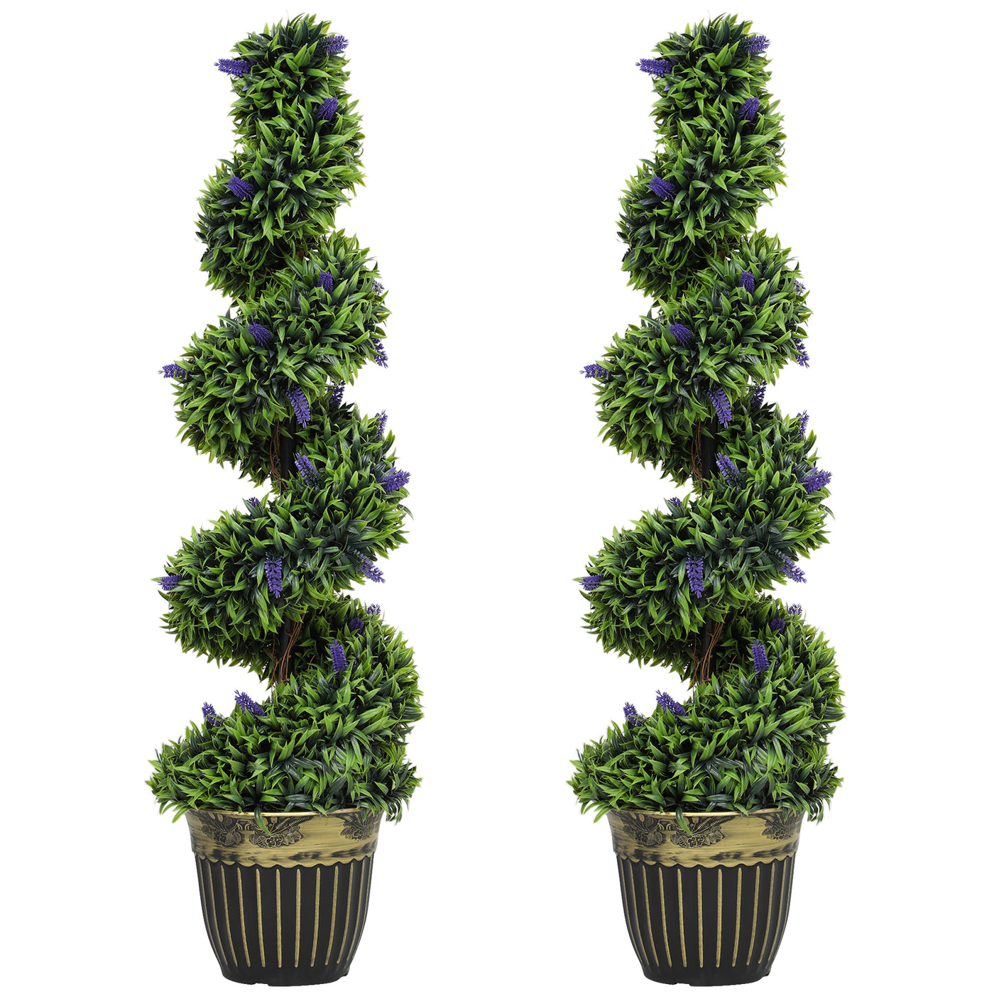 Elegant Spiral Boxwood & Lavender Plant Set