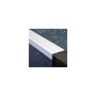 main.png