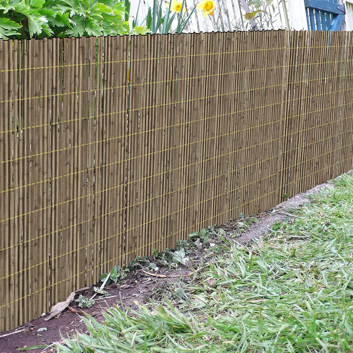 High Quality Reed Fence (9-10mm) 1.2m x 3m