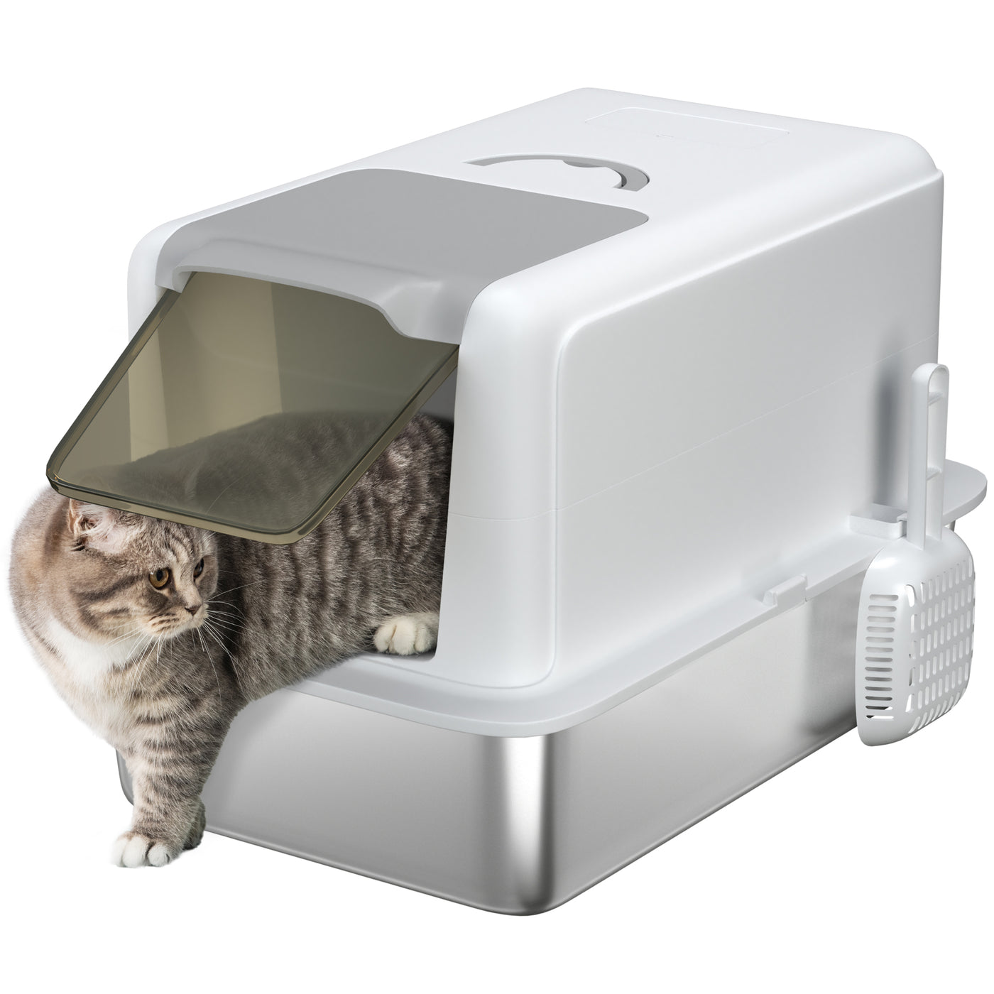 fd260ca7-a1b7-44ba-a9eb-f561dd69f332.png