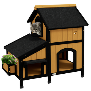 main.png