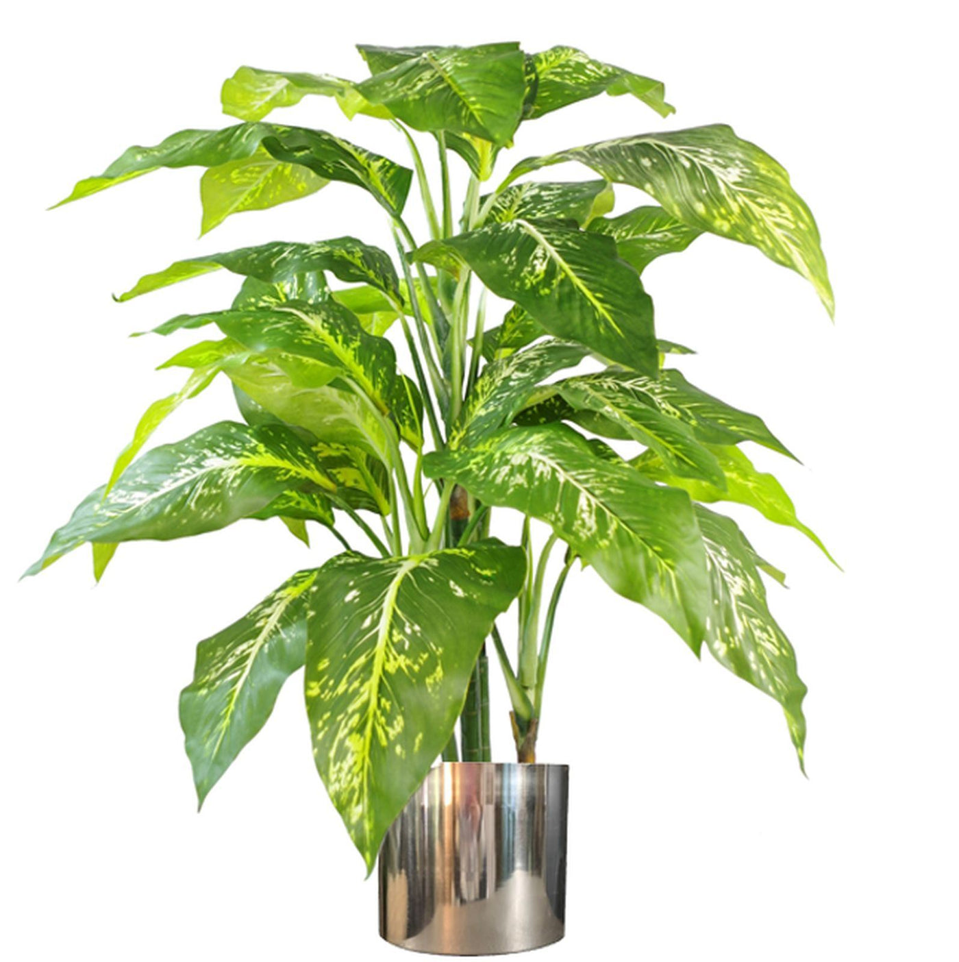 100cm Large Fox's Aglaonema (Spotted Evergreen) Artificial Plant with Silver Metal Planter
