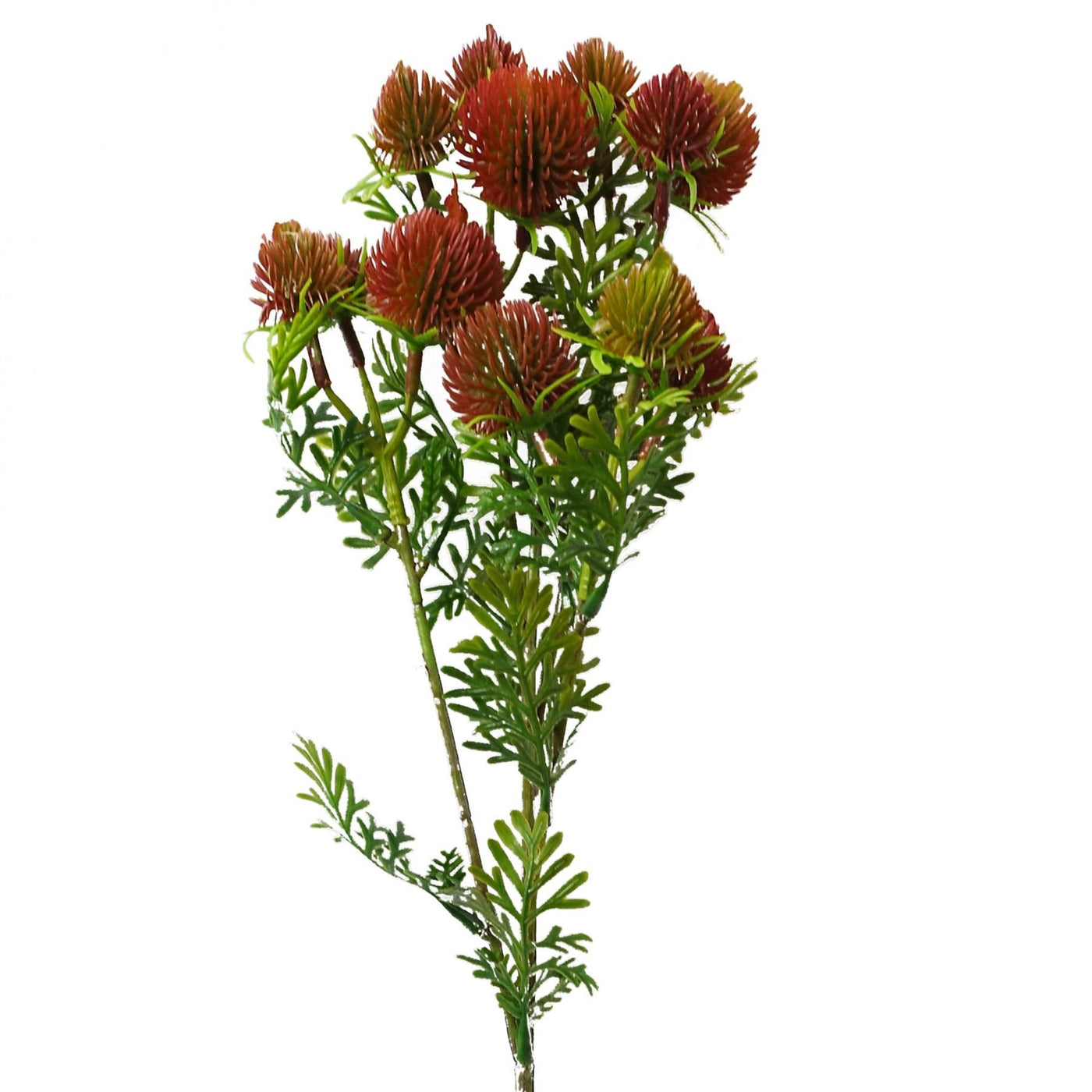 55cm Red Artificial Craspedia Stem