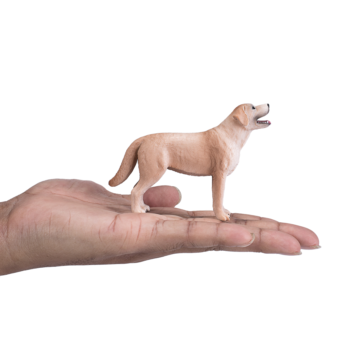 Labrador Dog Toy Realistic Pet Figurine