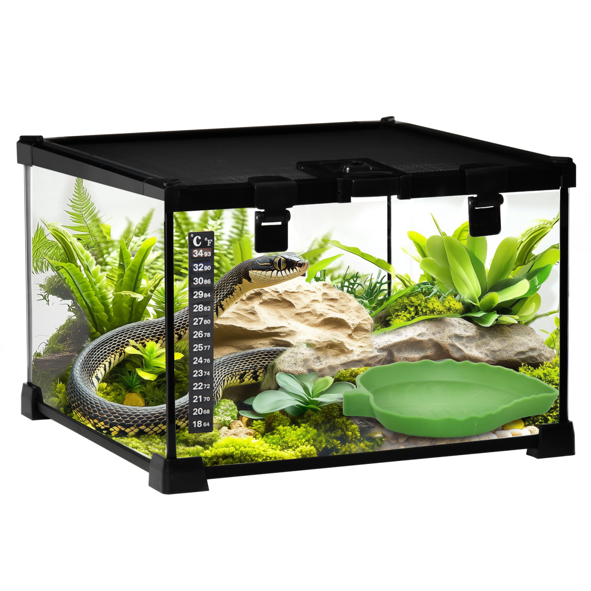 Glass Reptile Terrarium Habitat for Lizards, Frogs, Snakes