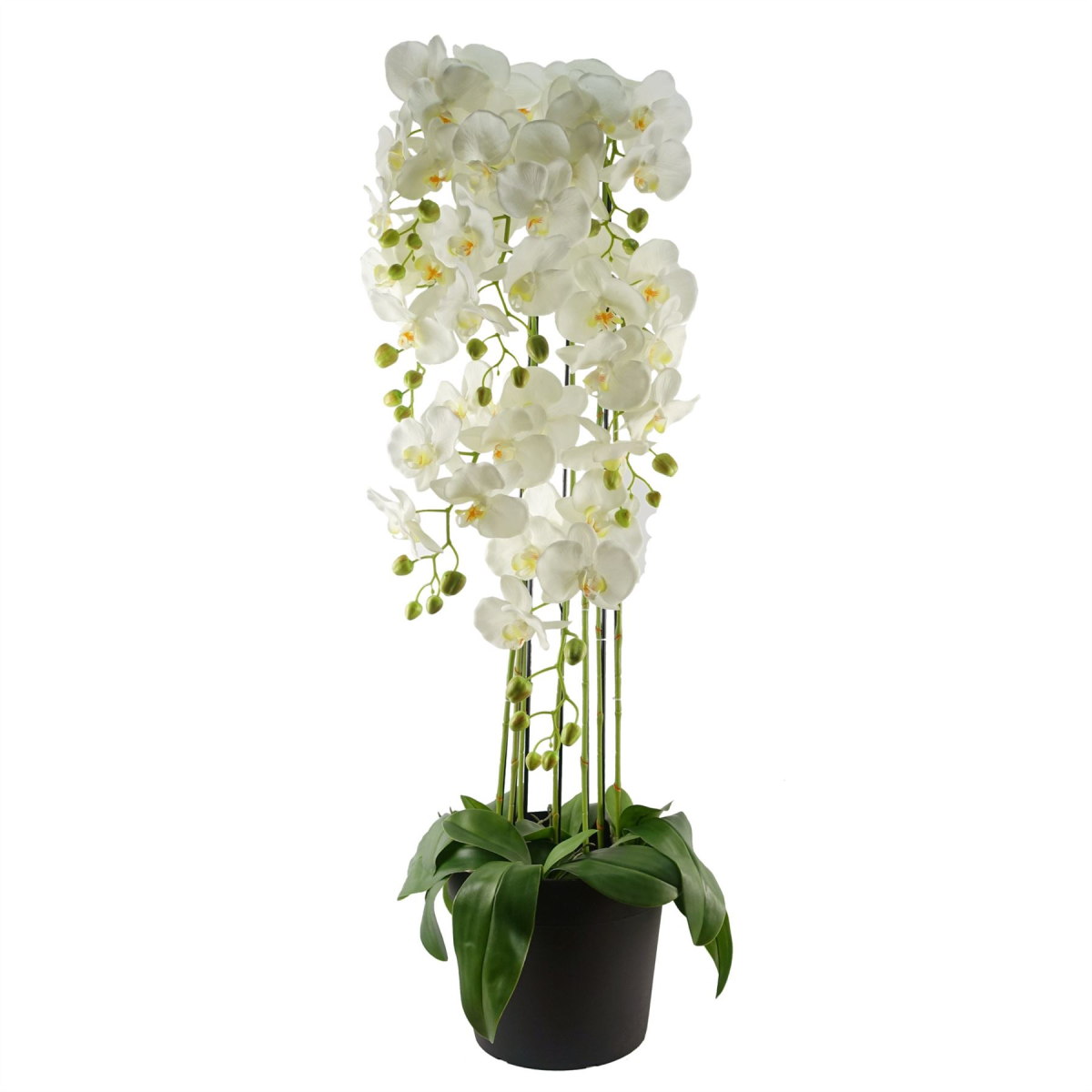 110cm Large White Artificial Orchid Plant - 41 Real Touch Flowers