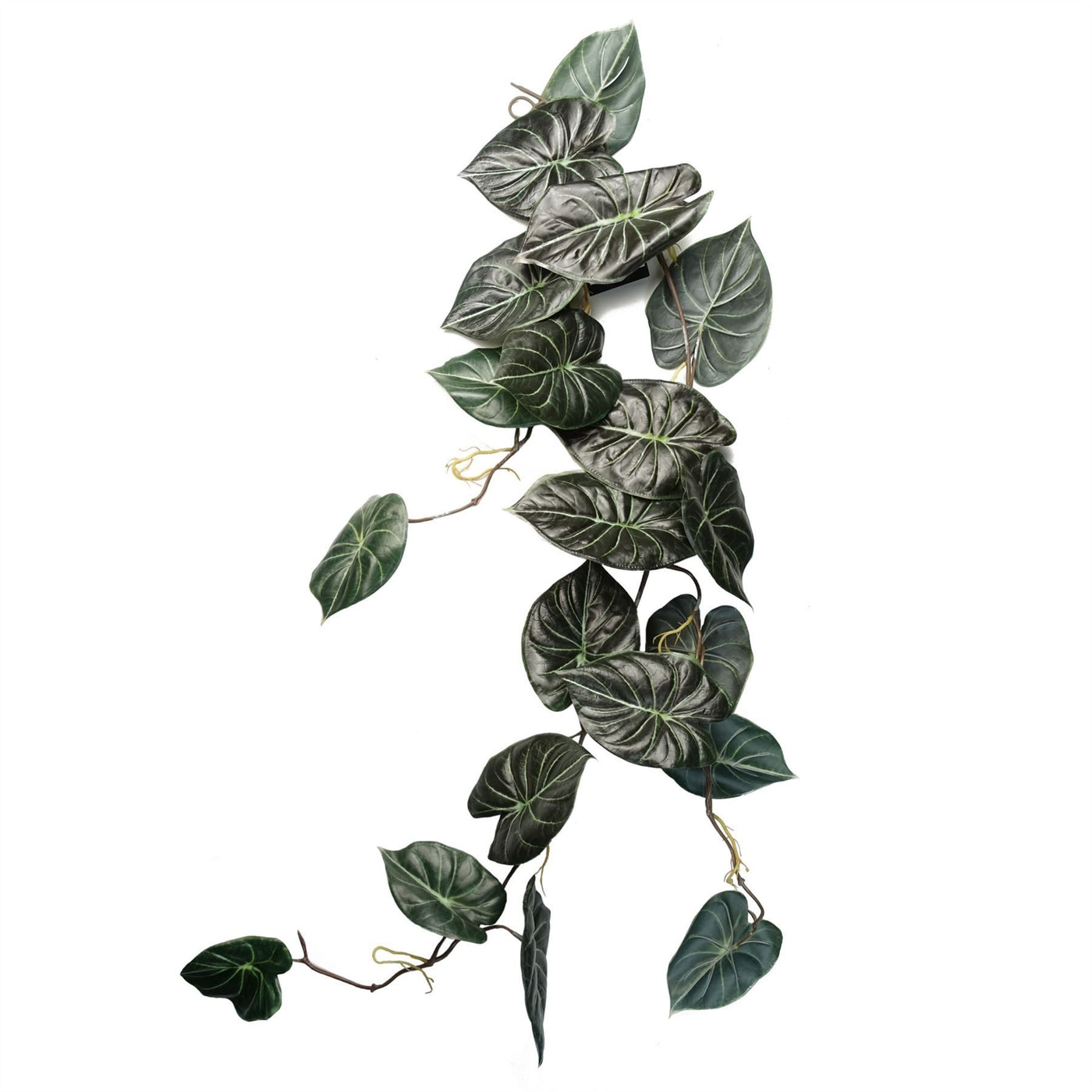 120cm Artificial Hanging Trailing Alocasia Dragon Scale Dark