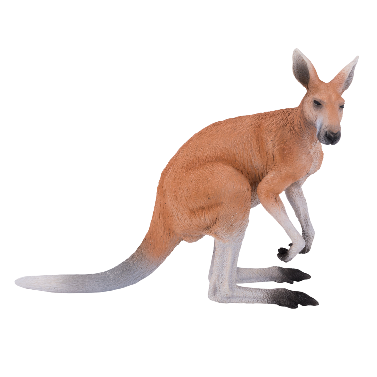 Kangaroo Toy - Realistic Australian Wildlife Model