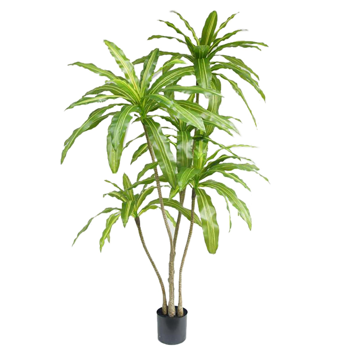 180cm Striped Dracaena Artificial Tree
