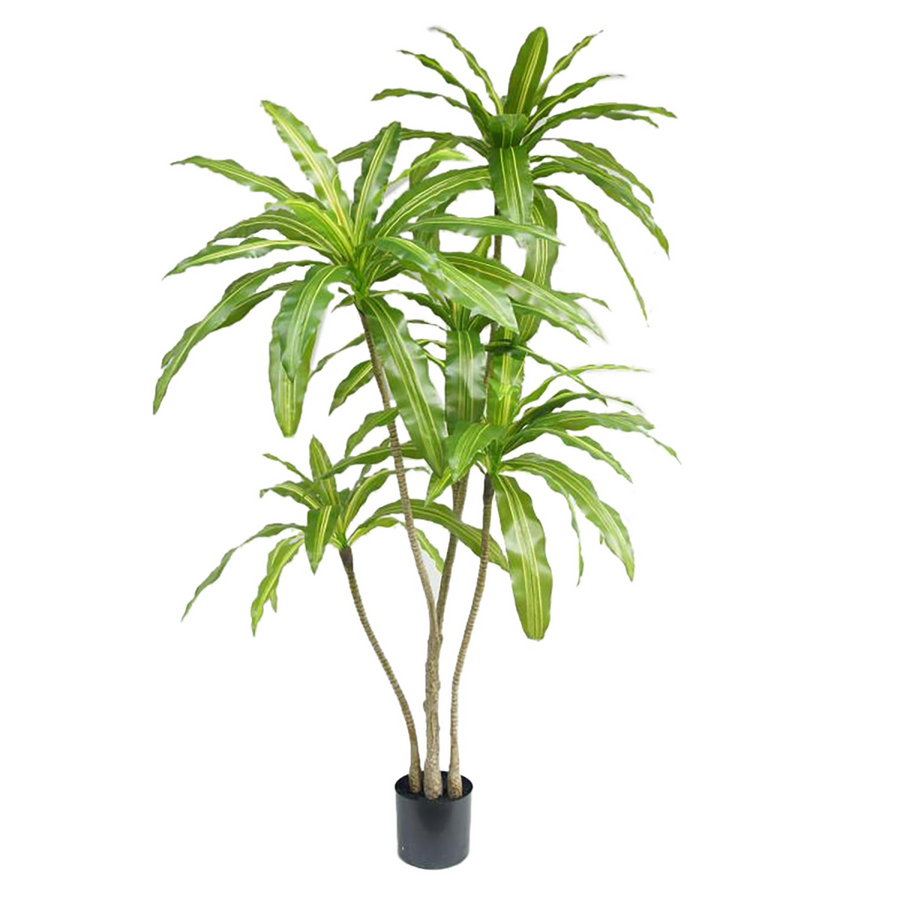 180cm Striped Dracaena Artificial Tree