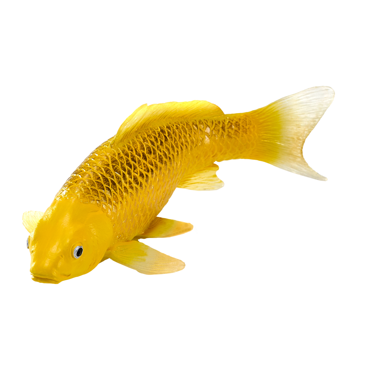 Koi Carp Kin Matsuba Realistic Fish Figurine