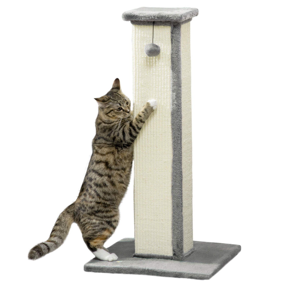 Cat Scratching Post 81cm w/ Natural Sisal Rope Hanging Ball Grey