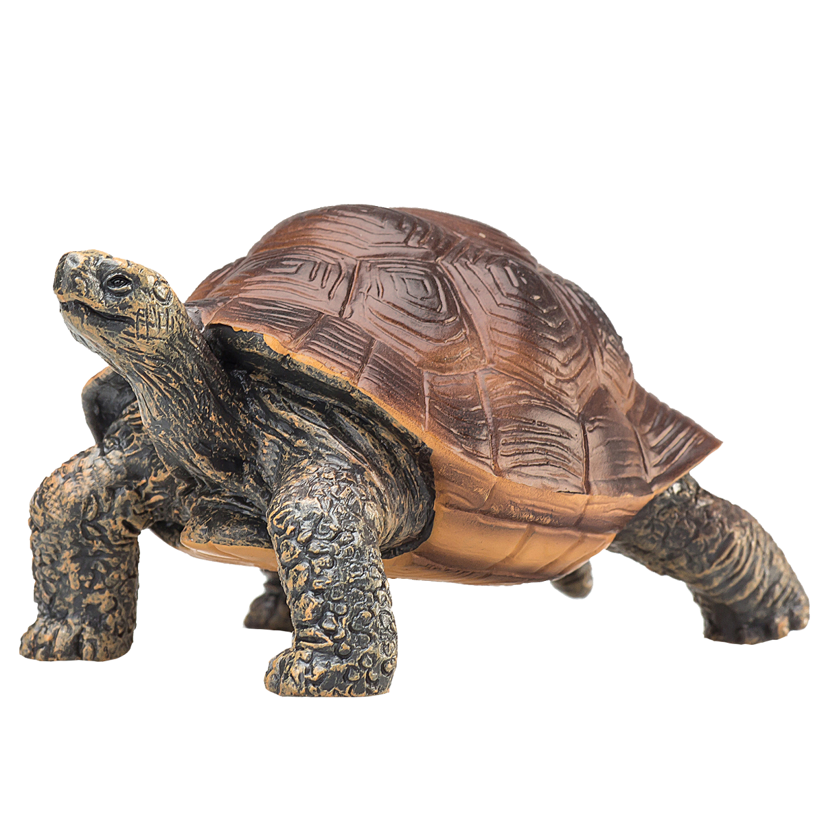 Giant Tortoise Toy Realistic Reptile Model