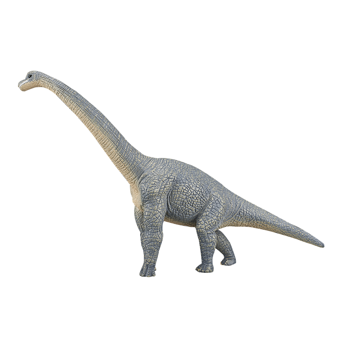 Brachiosaurus Dinosaur Toy