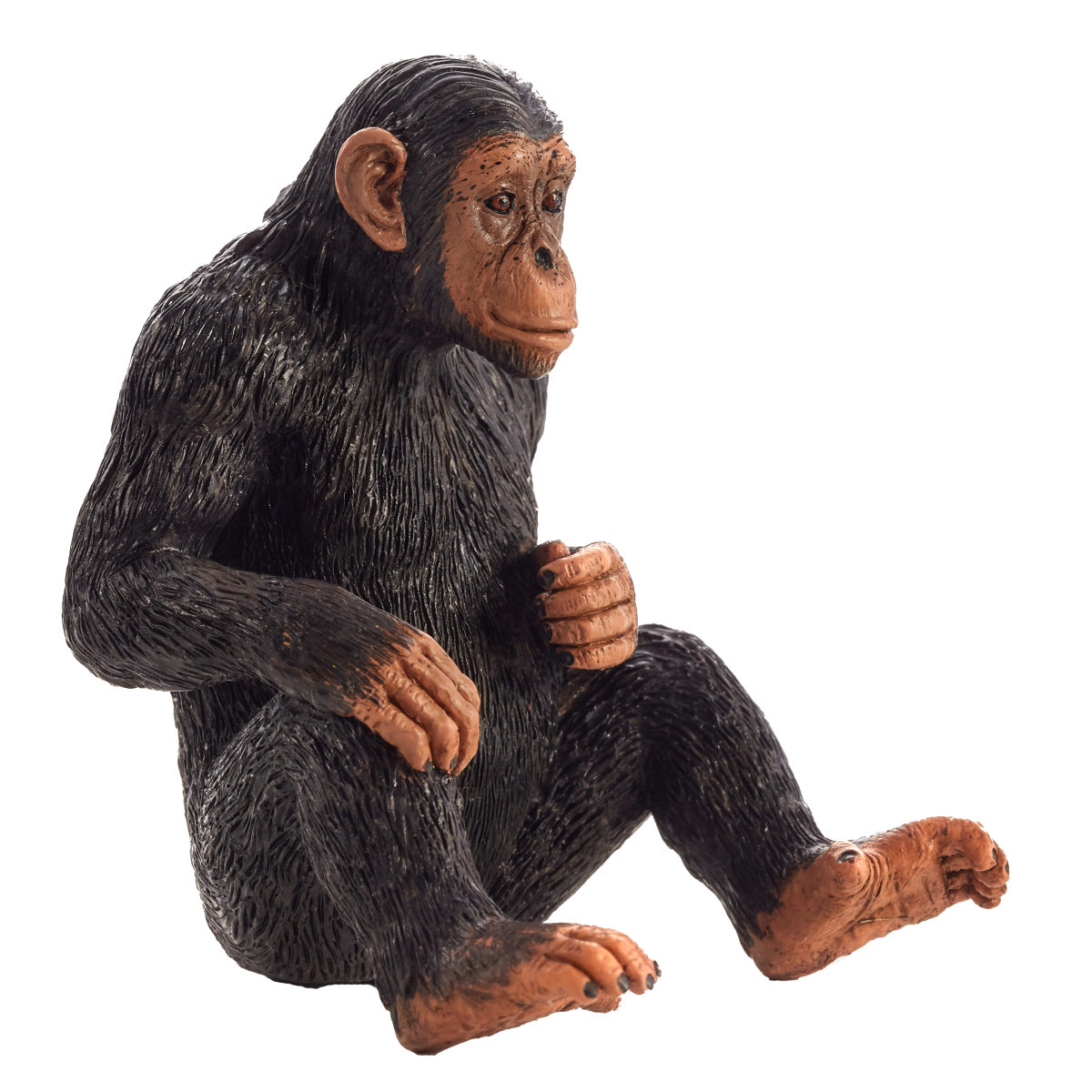 Chimpanzee Toy
