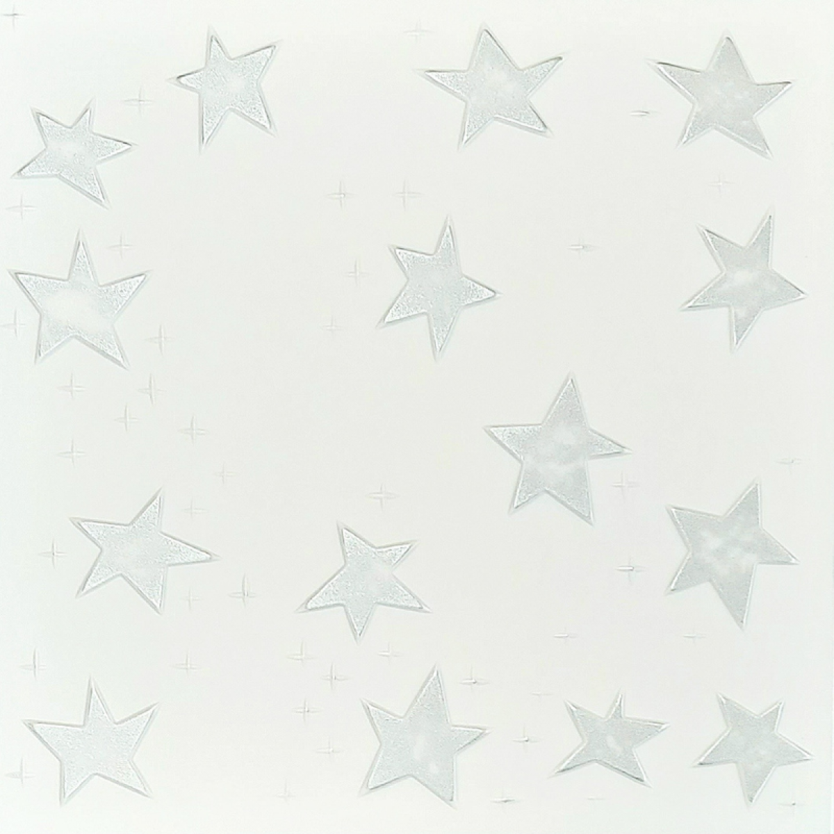 Silver Star Ceiling & Wall Panels 2m² (8 Panels) White & Silver, 4mm