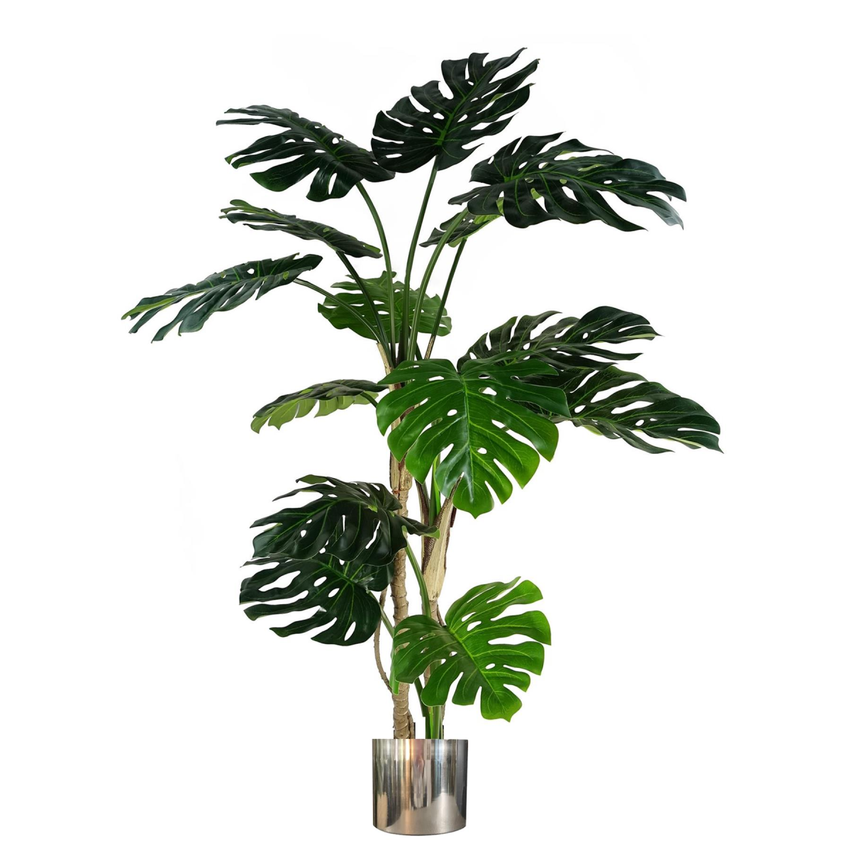 150cm Luxury Monstera Plant with Black Pot and Silver Metal Planter