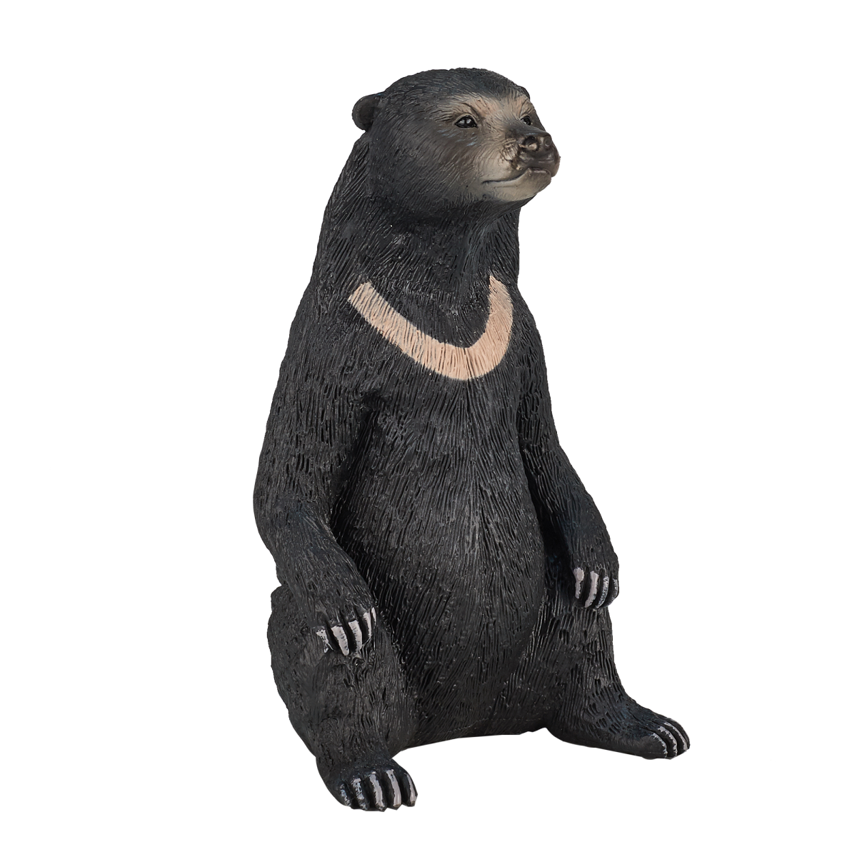 Sun Bear Toy  Realistic Wildlife Animal Figurine