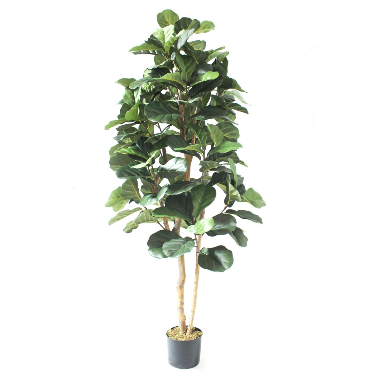 180cm Artificial Fiddle Fig Tree